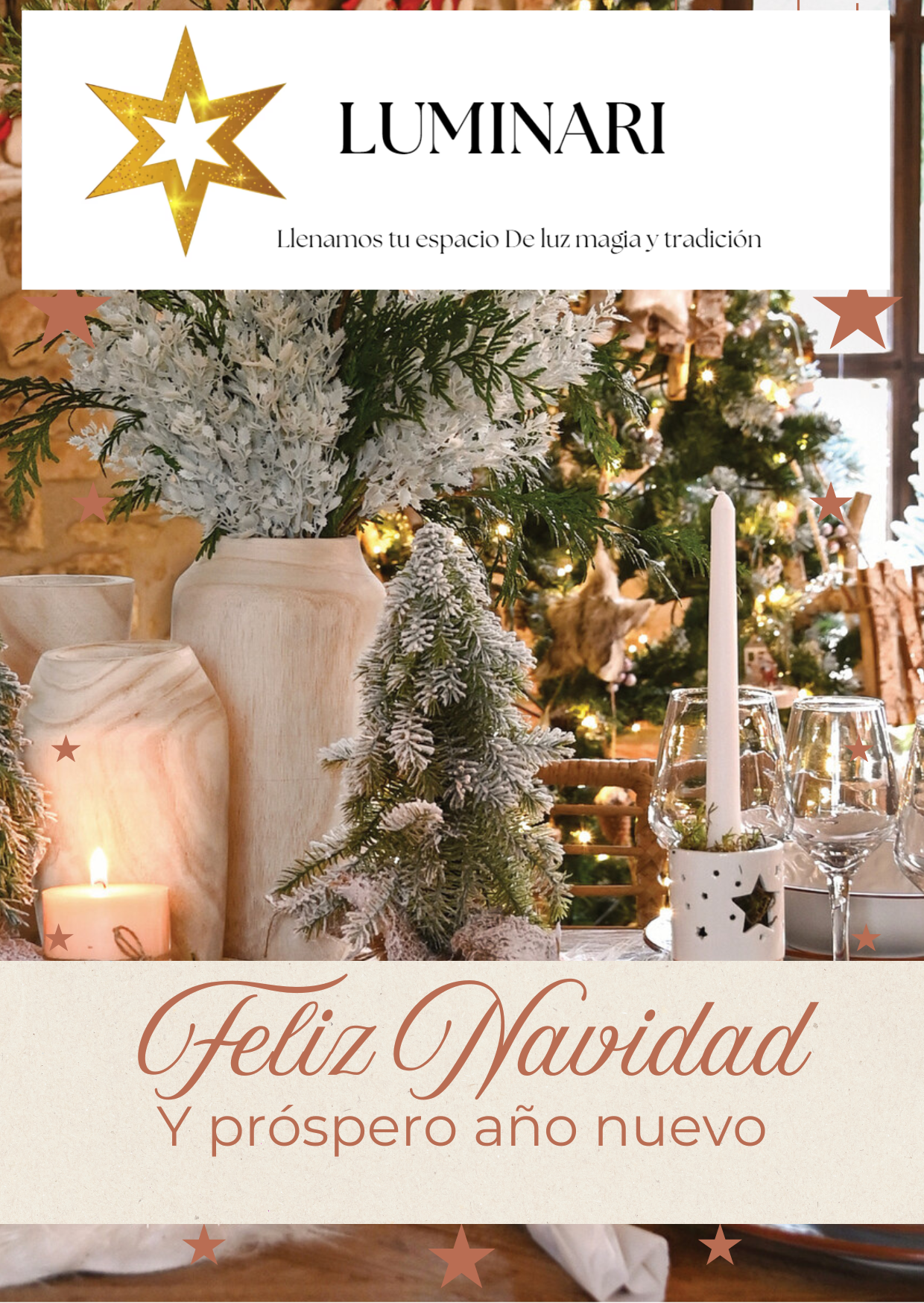 Decoración Navideña 1